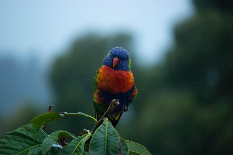 rain bird rain sensor manual